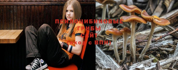 крисы Армянск