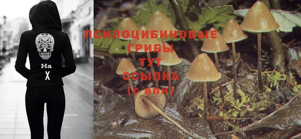 крисы Армянск