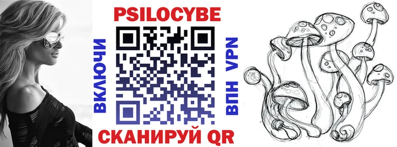 Псилоцибиновые грибы Psilocybe mega зеркало Верхняя Салда
